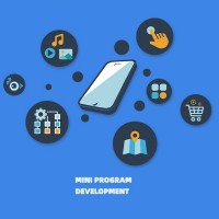 Mini Program Development